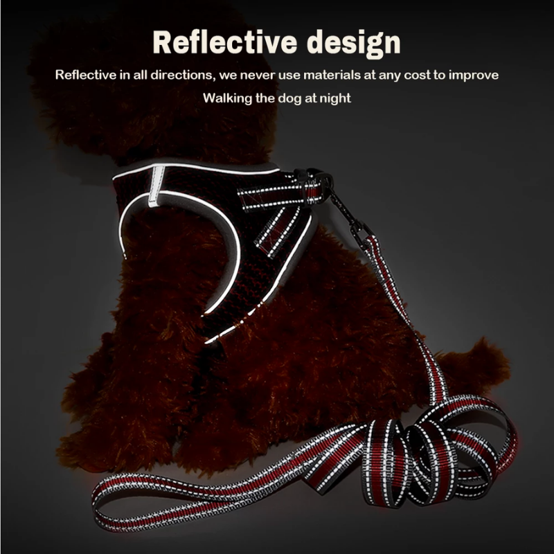 Premium Dog Harness with Leash