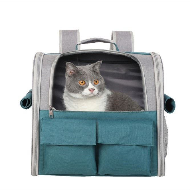 Trendy Pet Backpack with Mesh