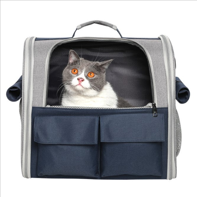 Trendy Pet Backpack with Mesh