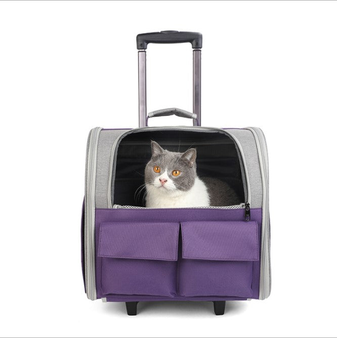 Trendy Pet Rolling Backpack
