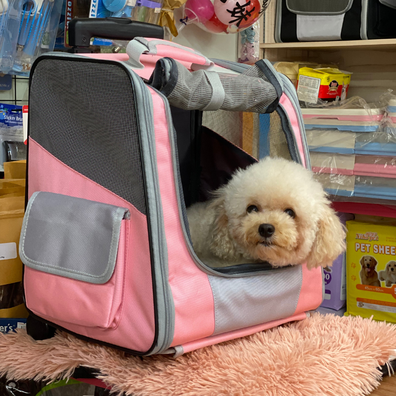 Pet Rolling Travel Backpack with Mesh