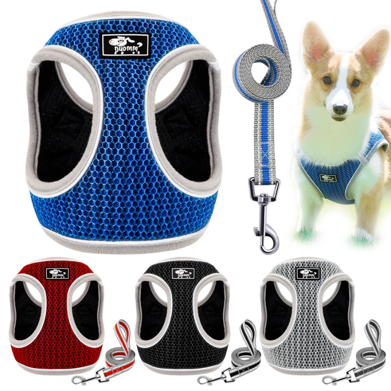 Premium Dog Harness with Leash