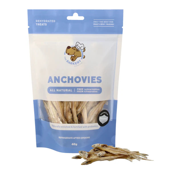 Anchovies 40g | The Barkery