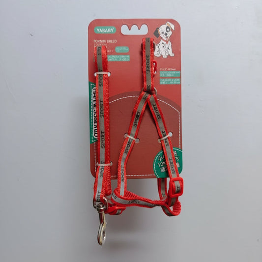 Red dog harness and leash set on a red card with a hand holding it against a light gray background.