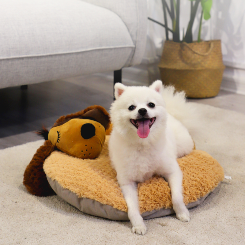 GiGwi Snoozy Friendz Cushion Dog