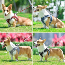 Load image into Gallery viewer, Premium Dog Harness with Leash
