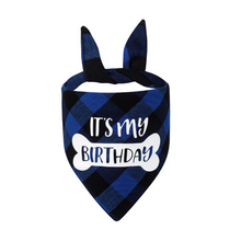 Load image into Gallery viewer, It&#39;s My Birthday Scarf
